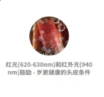 SKB-2309 新品 卷发直发二合一造型器 - 图片 4